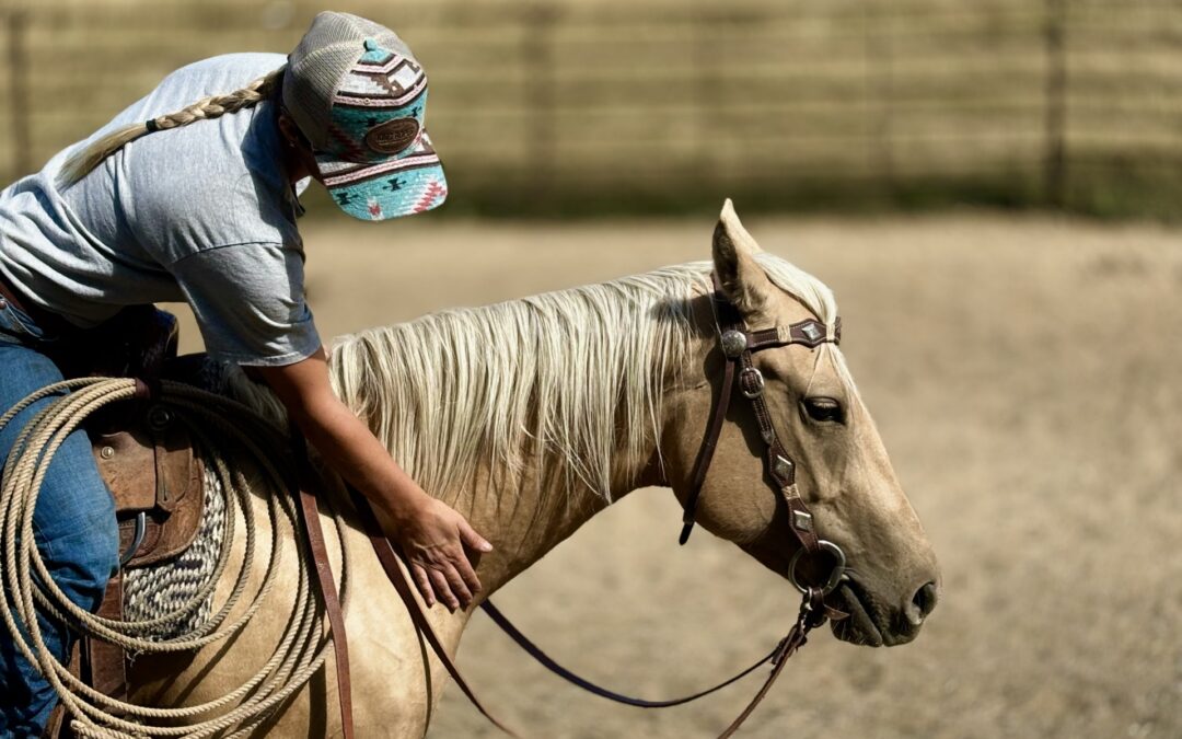 4 YO Palomino Mare