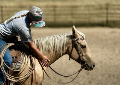 4 YO Palomino Mare