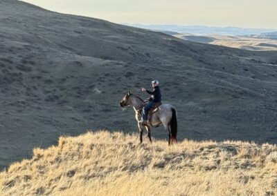 Pix – 5 Yr Old Reg Grulla Roan Gelding