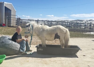 Indy – 5 Yr Old Medicine Hat Paint Pony